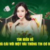 Game Bài Xóc Đĩa Đổi Thưởng – Card Game Reward